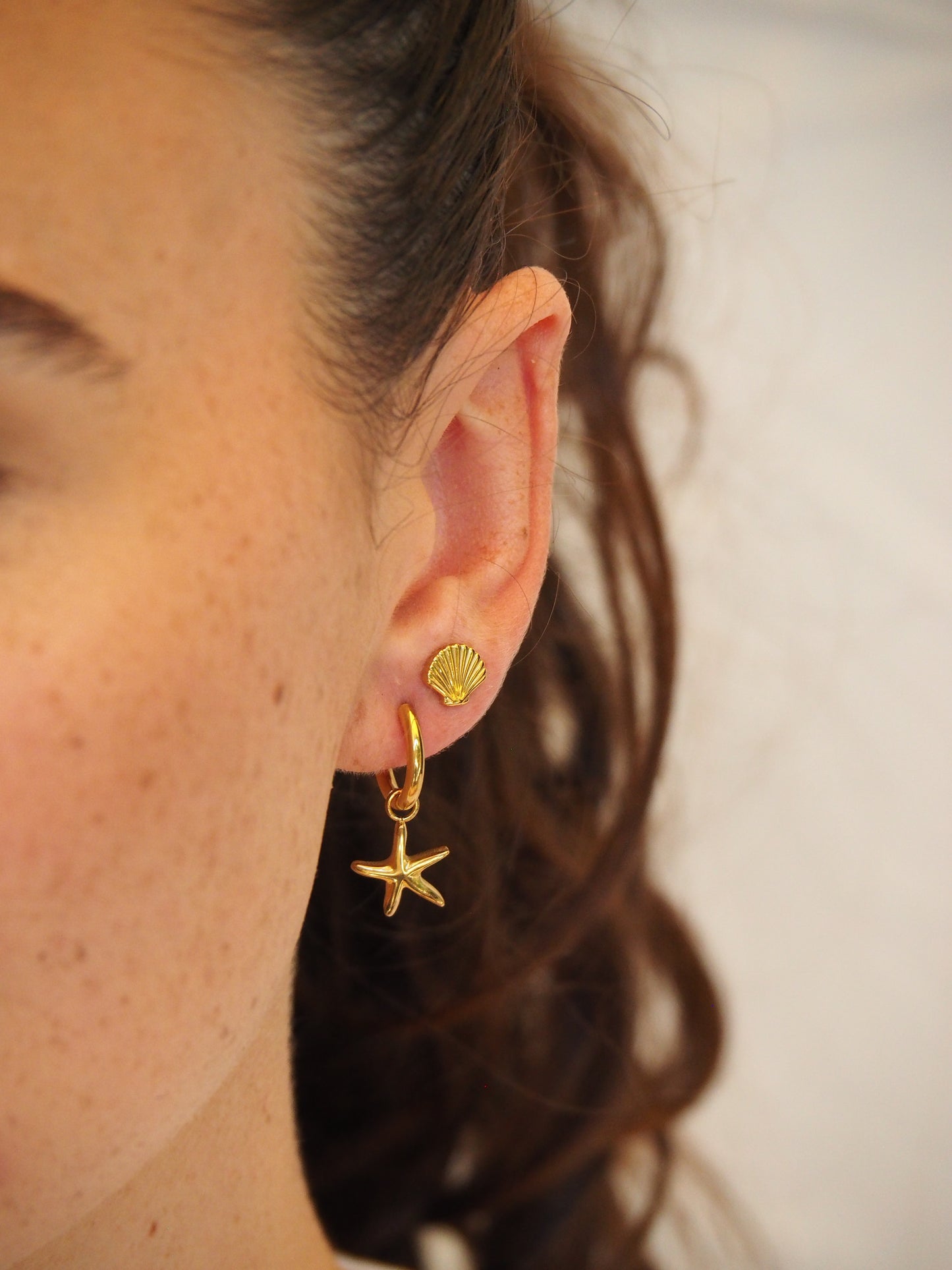 Sandy Shell Studs