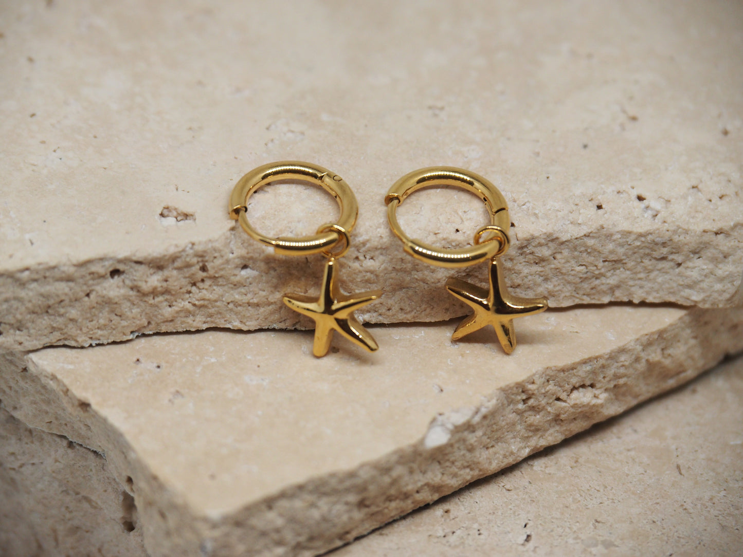 Seashore Hoops