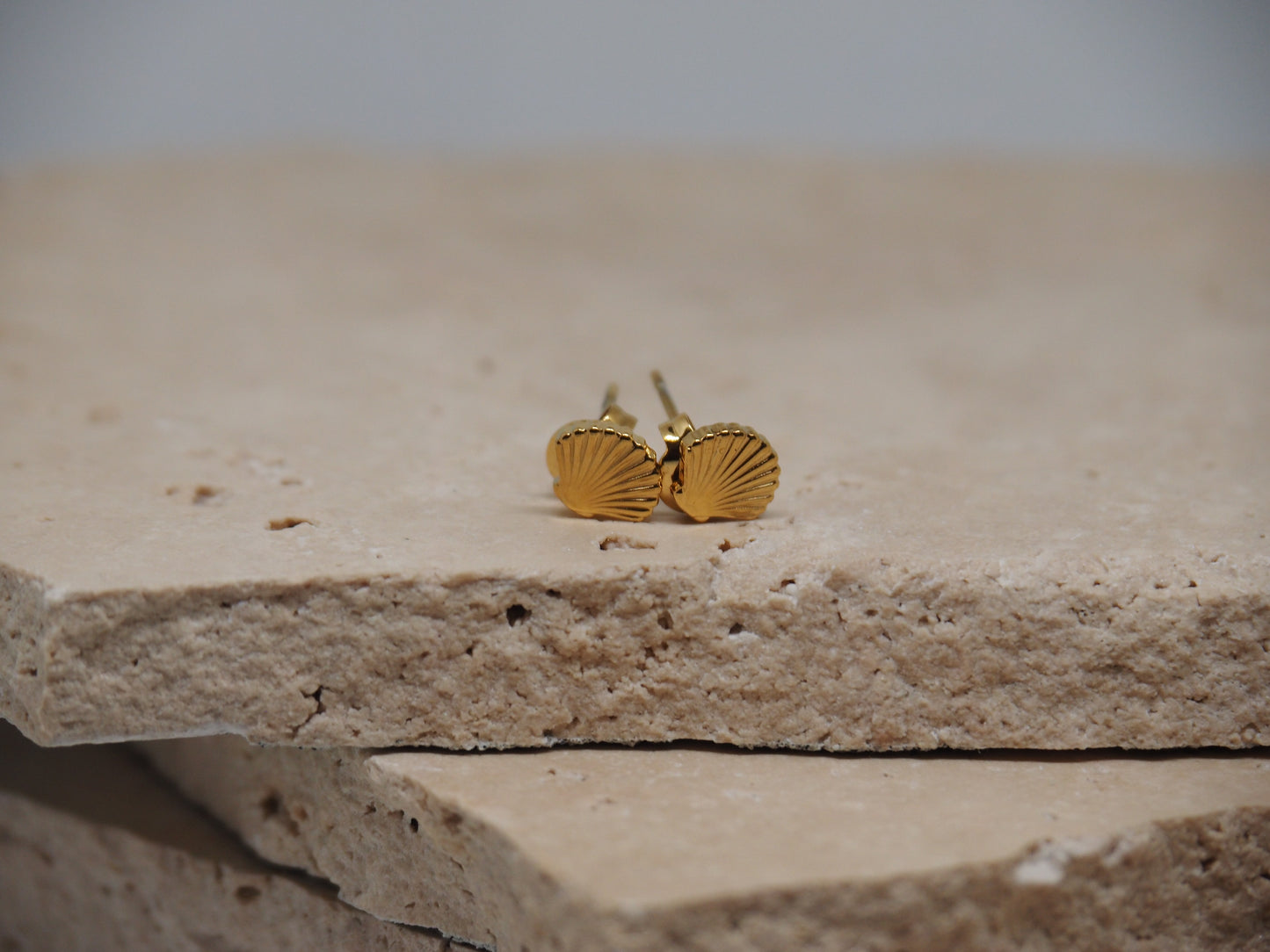 Sandy Shell Studs