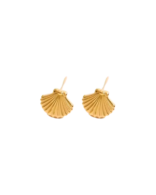 Sandy Shell Studs